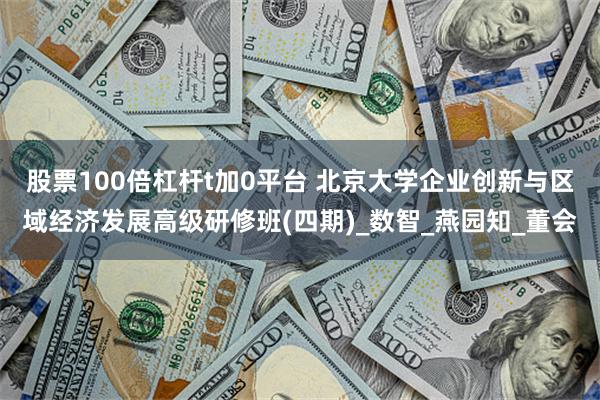 股票100倍杠杆t加0平台 北京大学企业创新与区域经济发展高级研修班(四期)_数智_燕园知_董会
